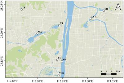 Distribution patterns and environmental risk assessments of microplastics in the lake waters and sediments from eight typical wetland parks in Changsha city, China